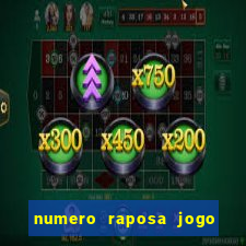 numero raposa jogo do bicho